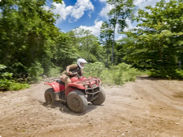 Buggy or ATV's