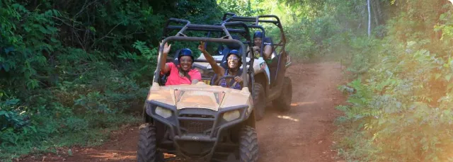 Buggy or ATV's 2