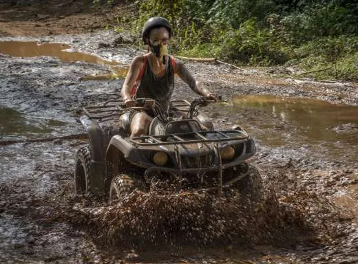 Buggy or ATV's 3