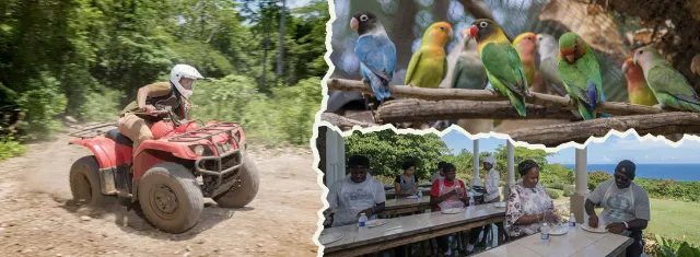 Mud Buggies or ATVs 2