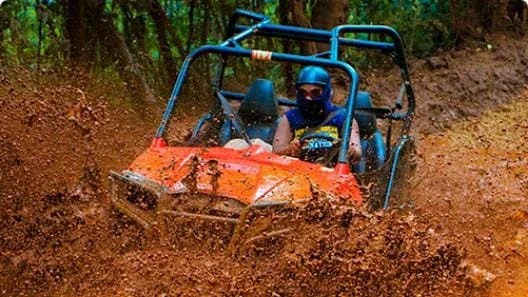 Mud Buggies or ATVs